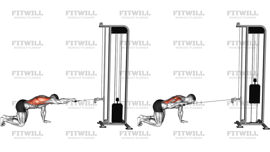 Cable Kneeling Single Arm Horizontal Row