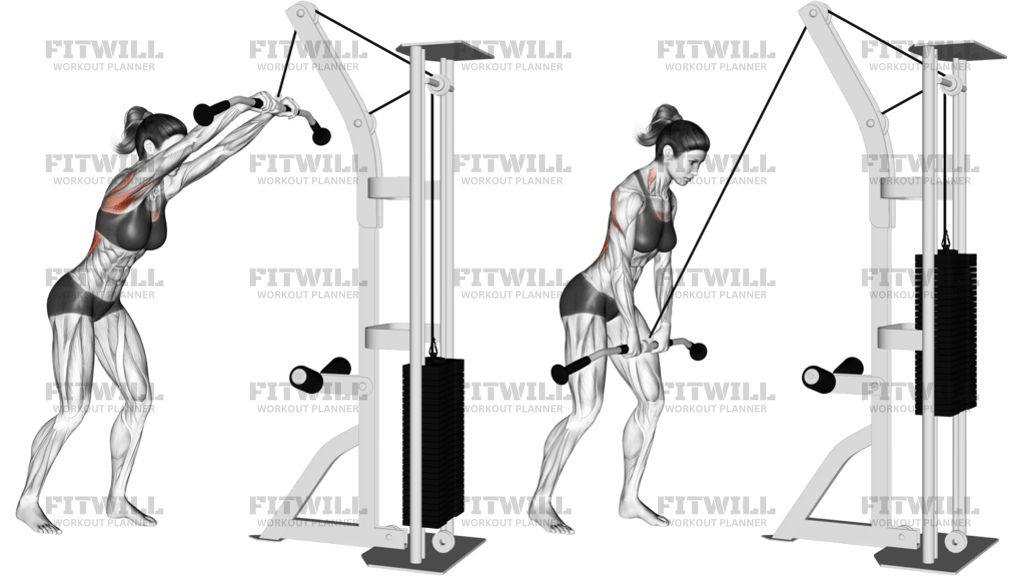 Cable Straight Arm Pulldown Version 2