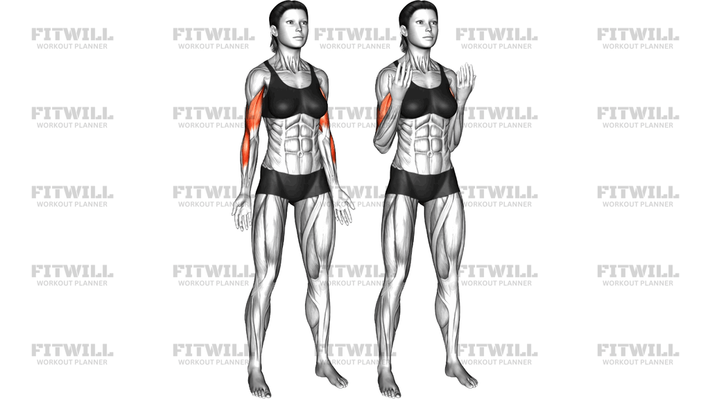 Elbow Flexion