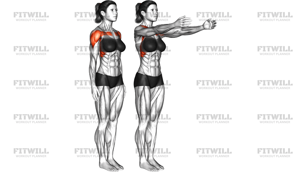 Shoulder Flexion