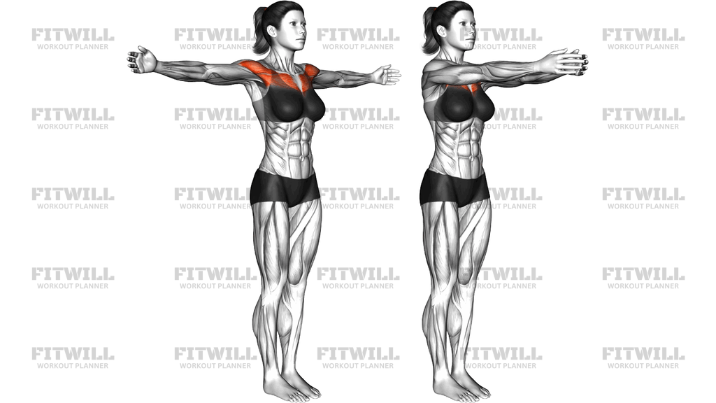 Shoulder Transverse Flexion