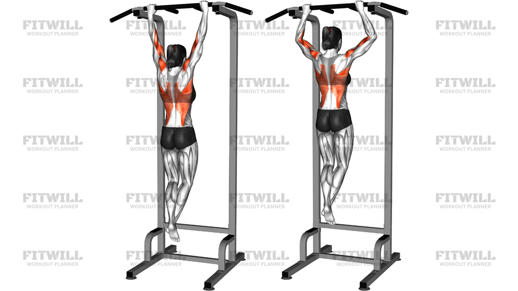Brachialis Pull Up