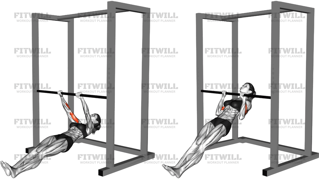 Brachialis Narrow Pull Up