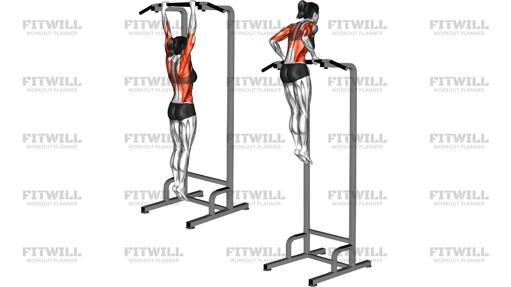 Muscle Up (On Vertical Bar)