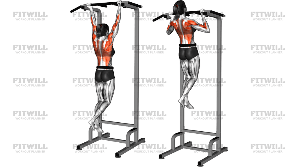 Weighted Chin Up