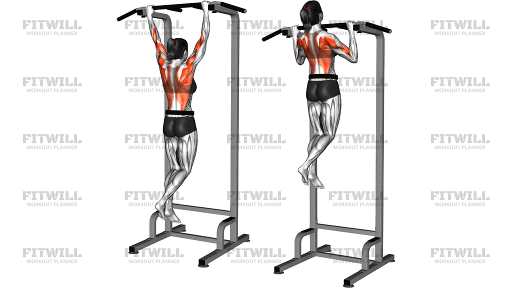 Weighted Pull Up