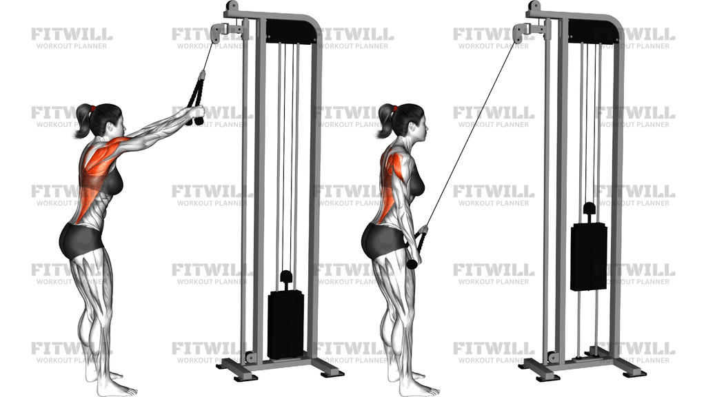 Cable Straight Arm Pulldown (With Rope)