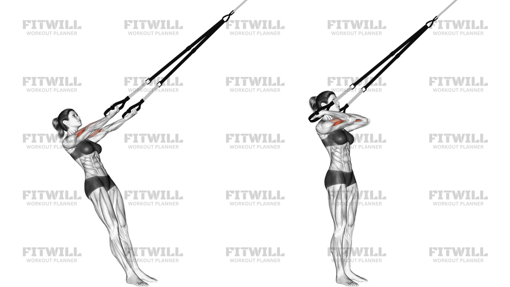 Suspension Arm Curl