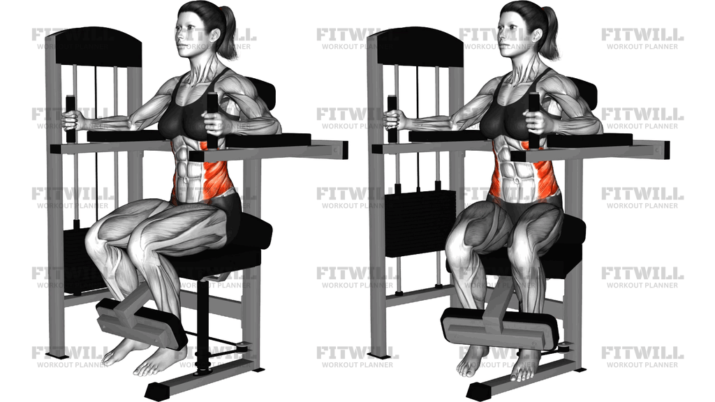 Lever Torso Rotation