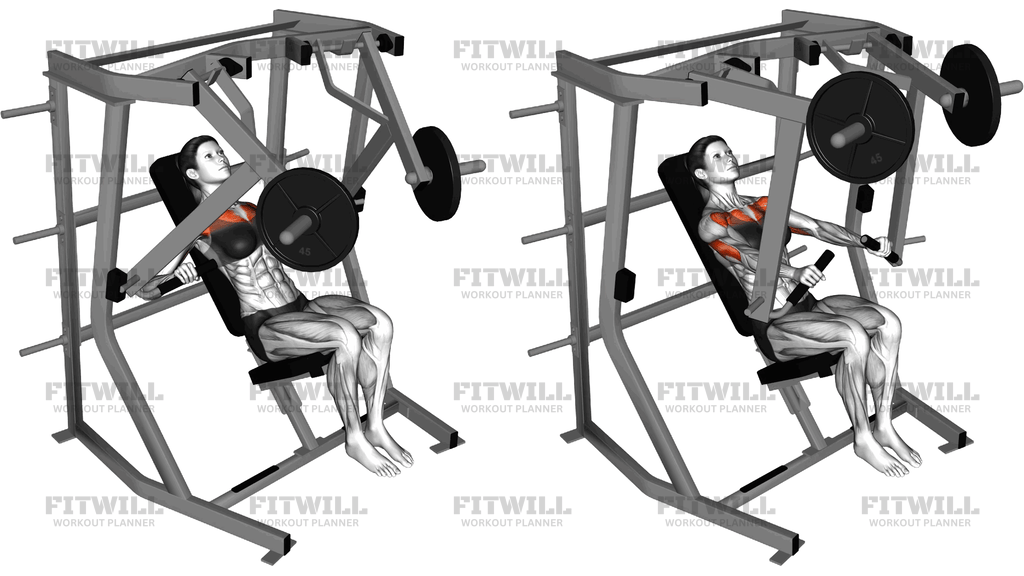 Lever Decline Chest Press