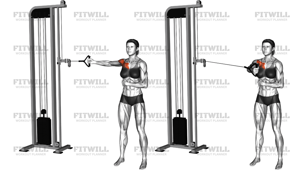 Cable Standing Single Arm Fly