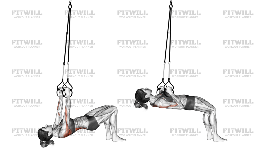 Suspension Bent Knee Inverted Row