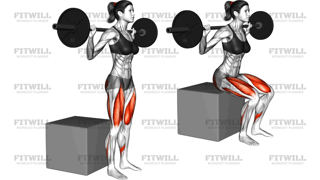 Barbell Box Squat