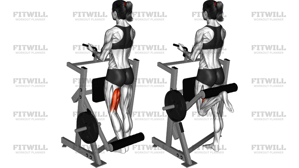 Lever Standing Single Leg Curl (Plate Loaded)