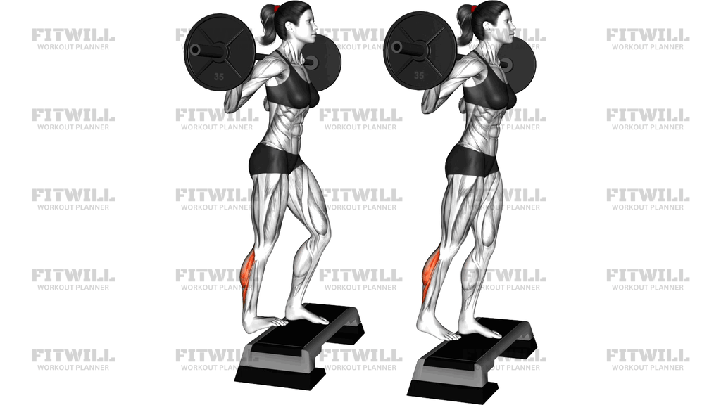Barbell Standing Single Leg Calf Raise