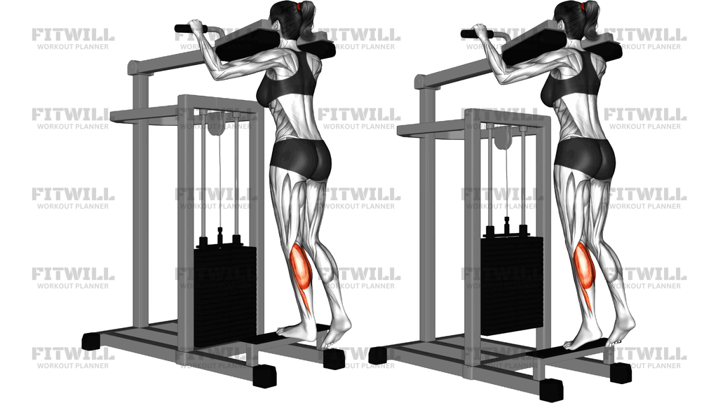 Lever Standing Single Leg Calf Raise