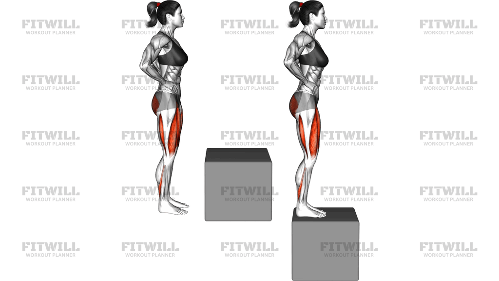 Step Up On Box