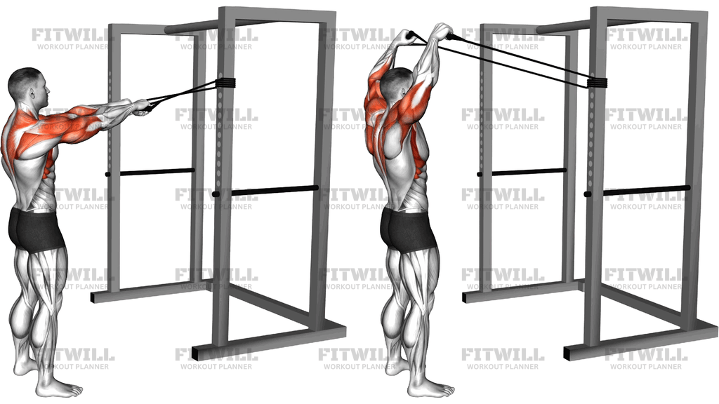 Face Pull Mit Band Im Stand Zur Y-Raise