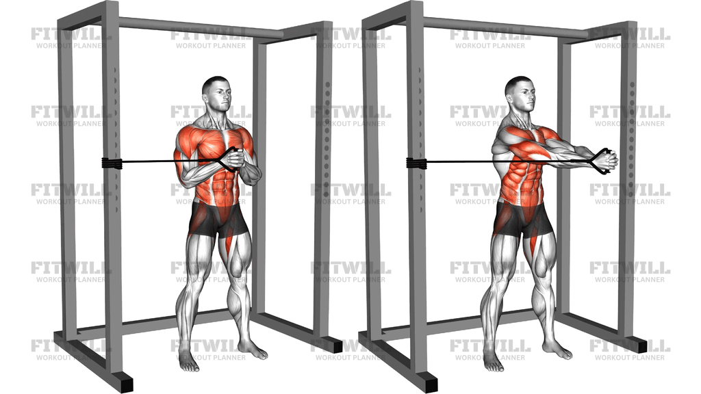 Band Horizontal Pallof Press Twist
