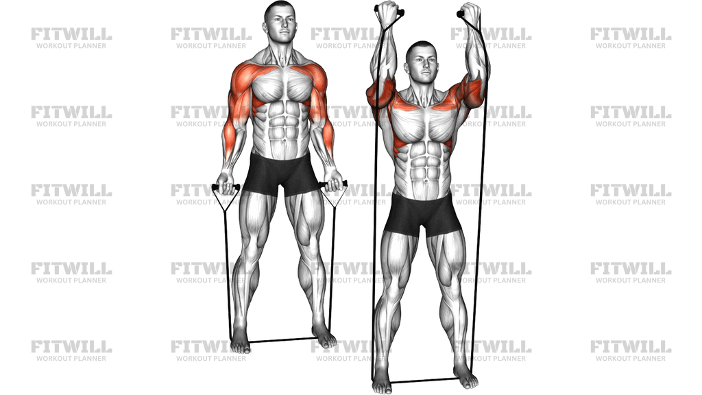 Band Curl To Press