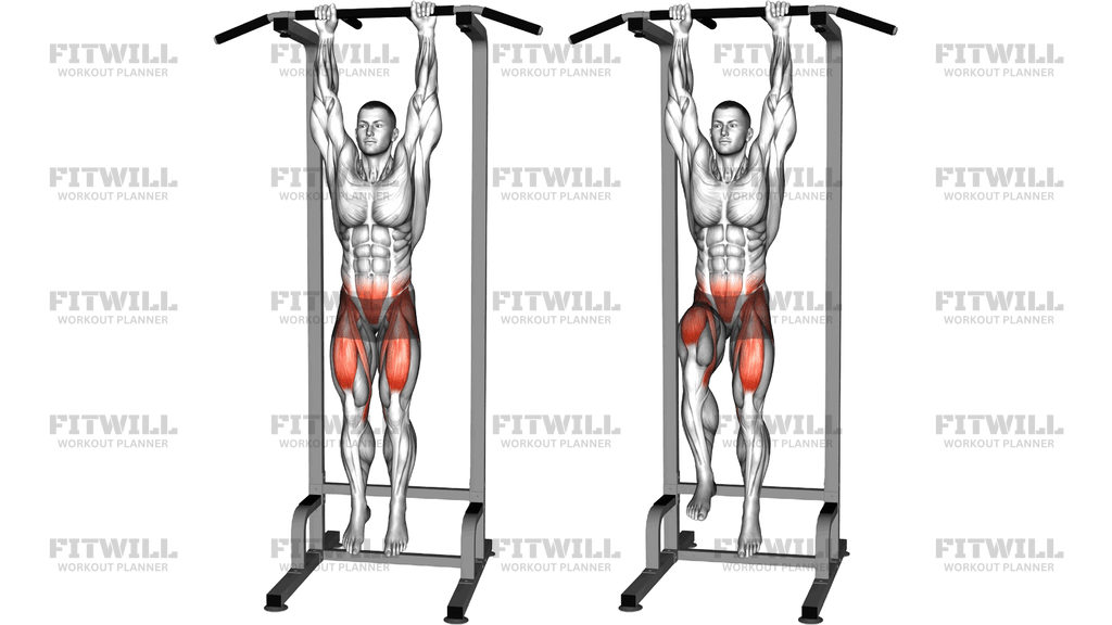 Hanging Alternating Knee Raise