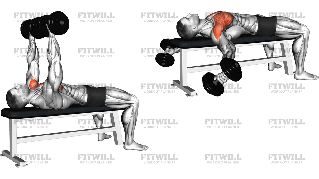 Dumbbell Lying Bench Poliquin Fly