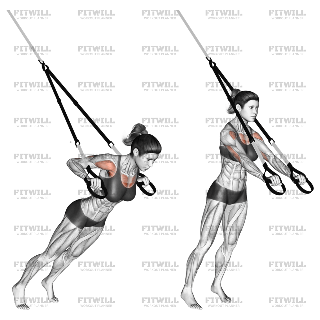 Suspension Chest Press Exercise Video Fitwill