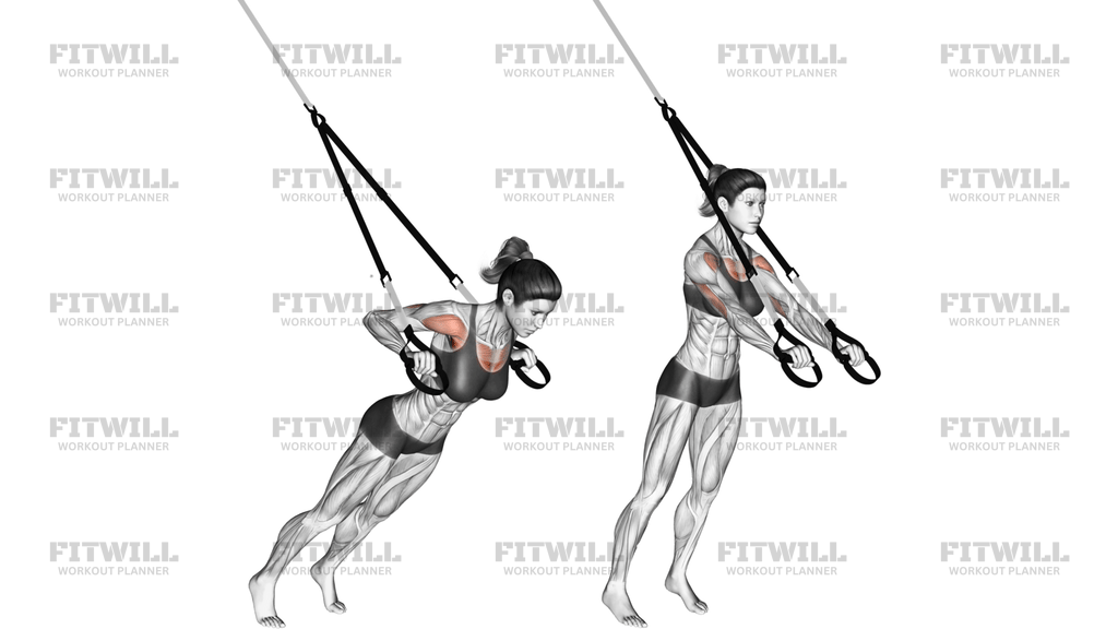 Suspension Chest Press