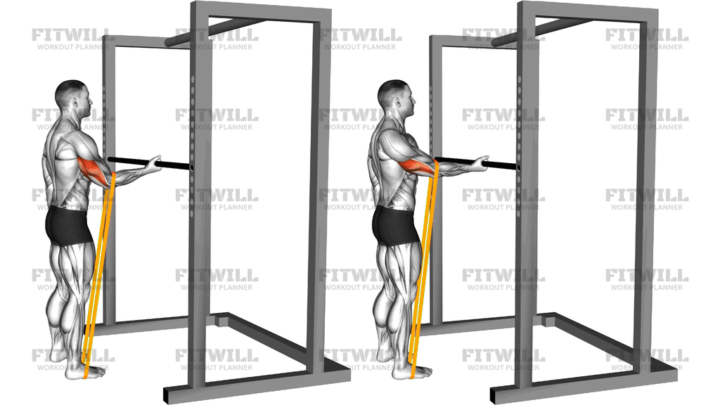 Resistance Band Standing Single Arm Triceps Stret