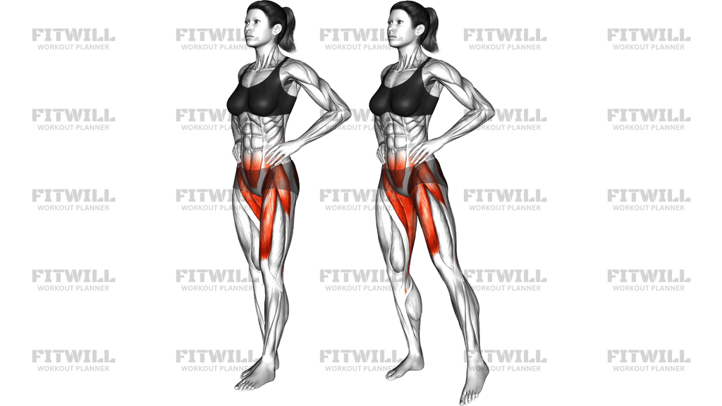 Standing Single Leg Front Back Side To Side Toe T