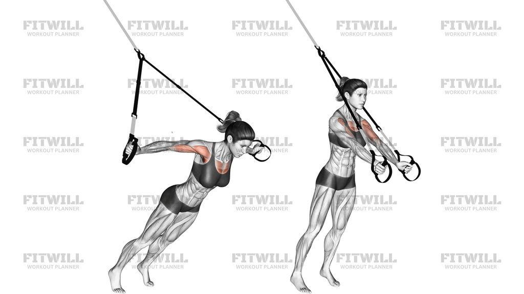 Suspension Fly