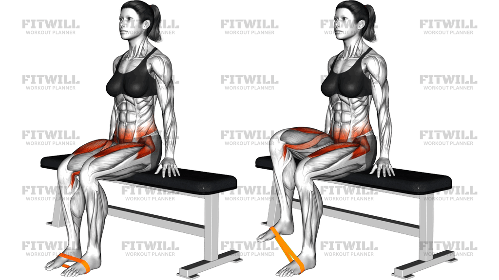 Resistance Band Seated Knee Raise