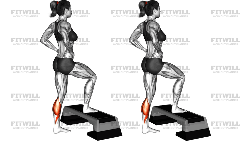 Single Leg Calf Jump Stepbox Supported