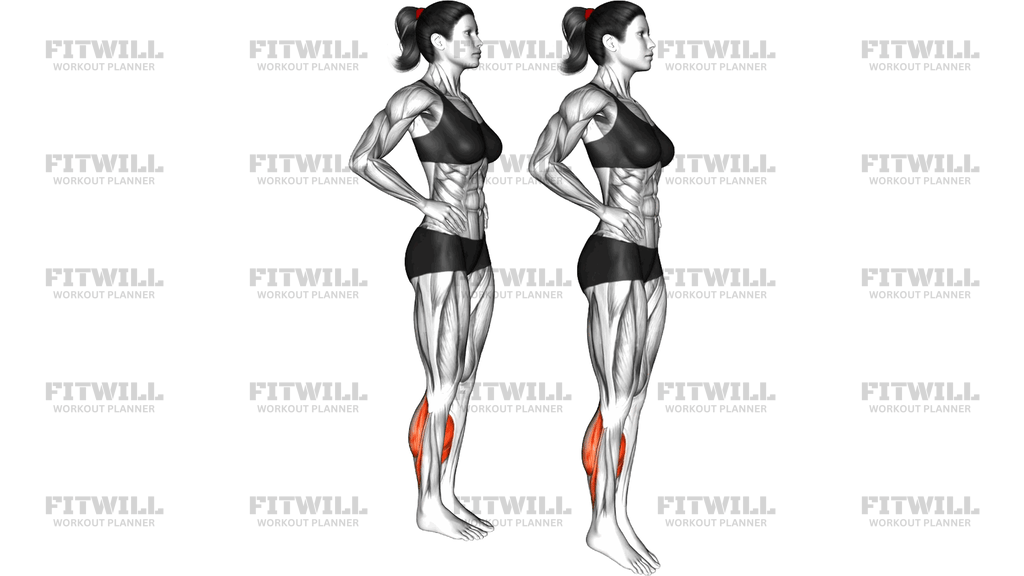 Calf Forward Jump