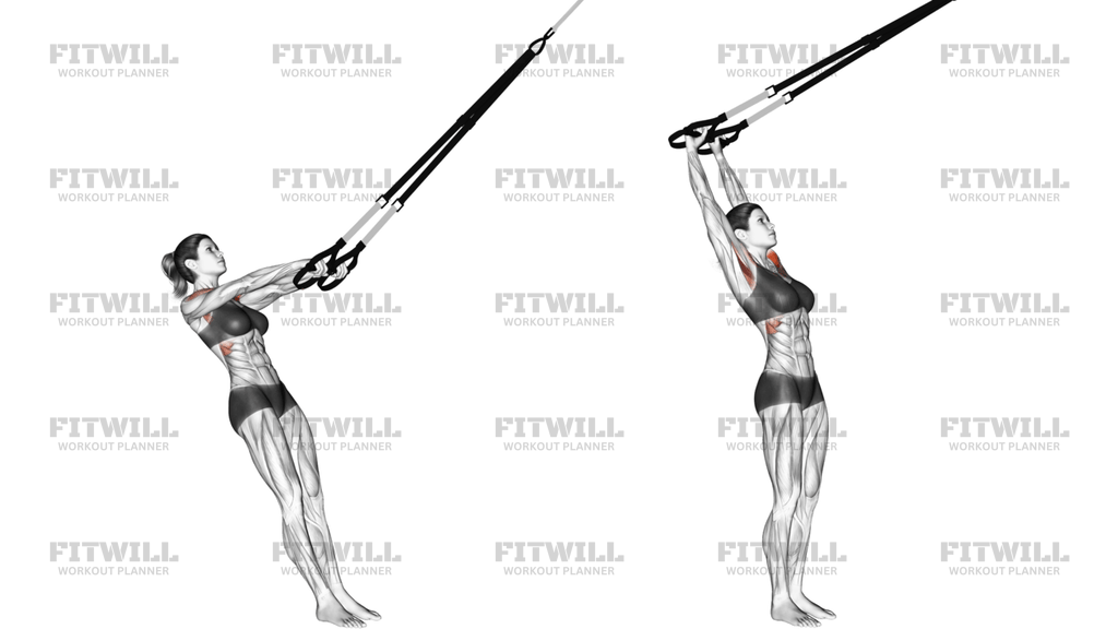 Suspension Front Raise