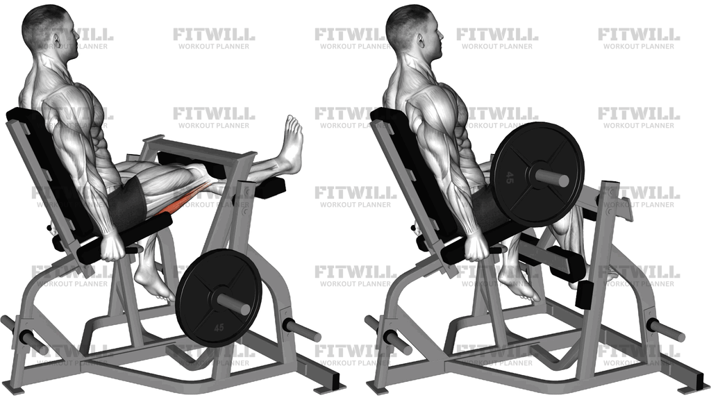 Lever Seated Single Leg Curl (Plate Loaded)