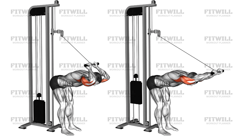Cable Bent Over Overhead Triceps Extension Straig