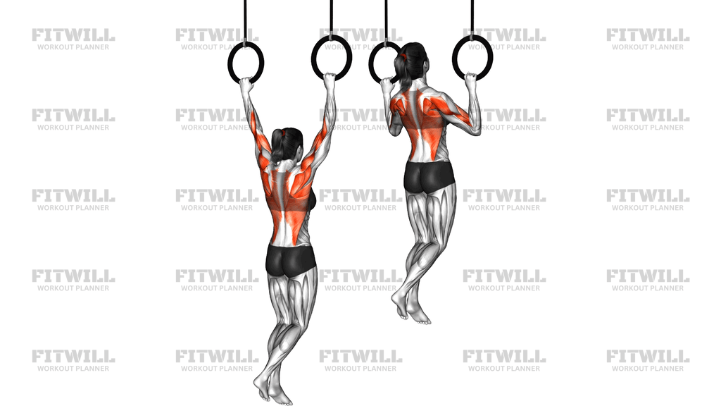 Ring Pull Up