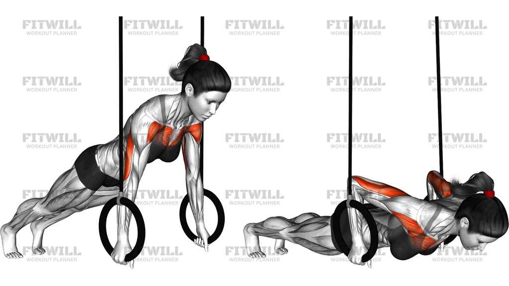 Suspended Push Up