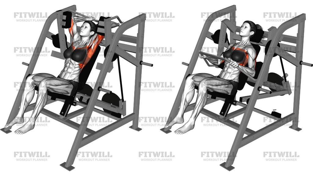 Lever Pullover (Plate Loaded)