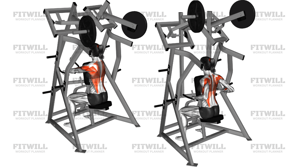 Lever Low Row (Plate Loaded)