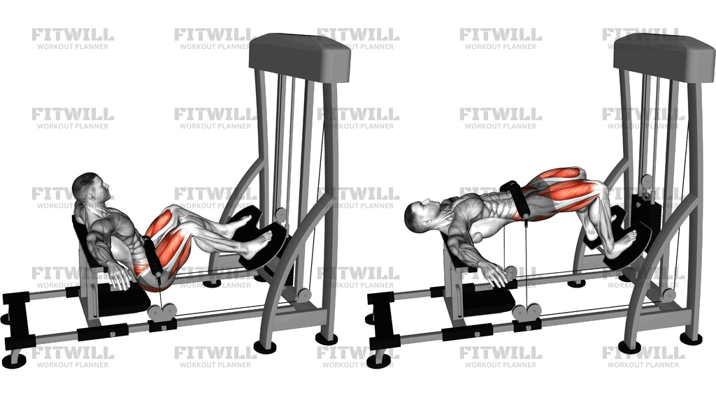 Lever Hip Thrust