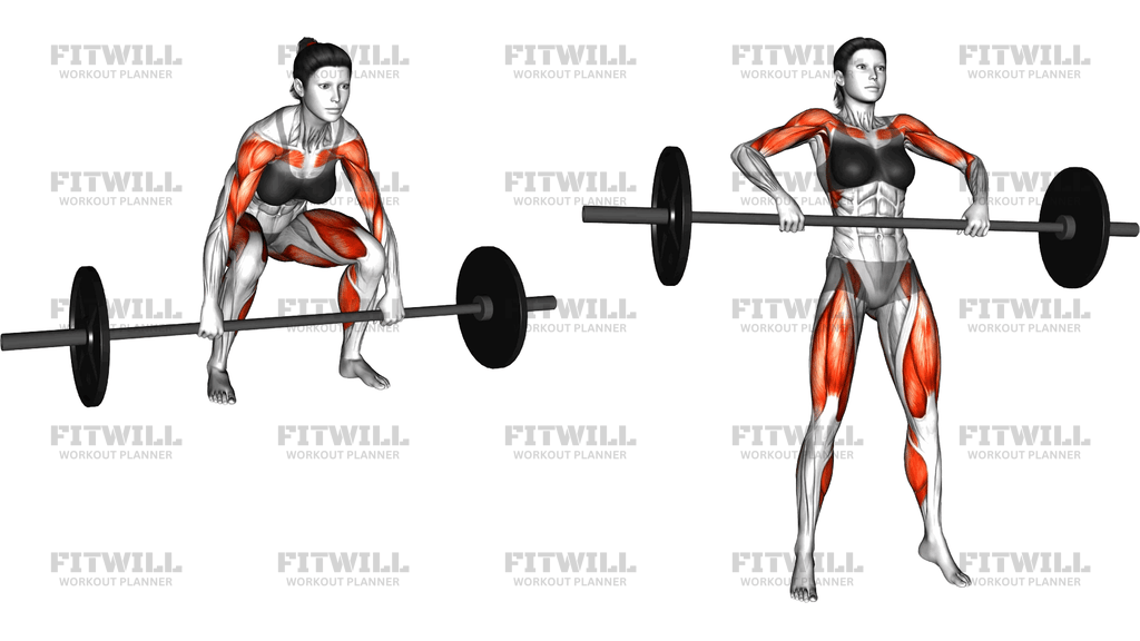 Barbell Clean Pull