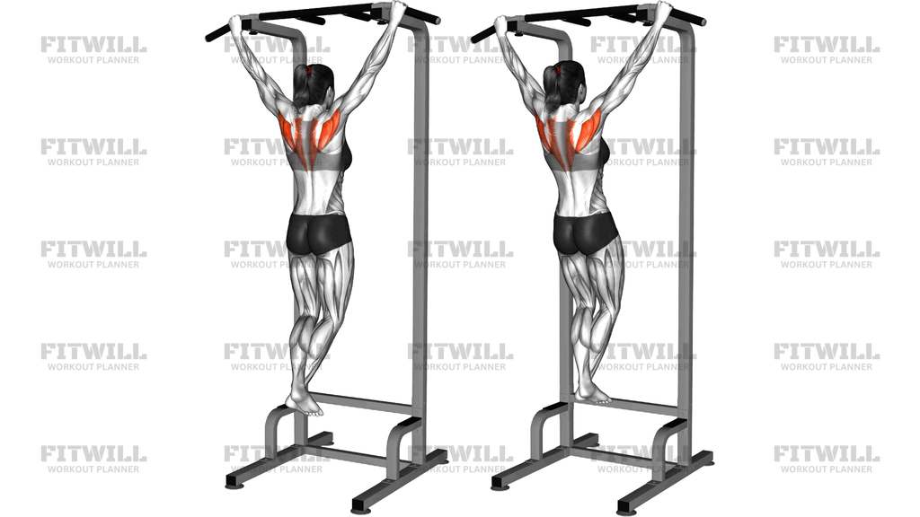 Scapular Pull Up