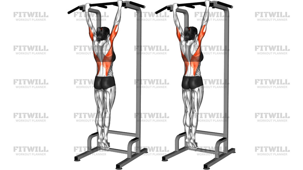 Dead Hang Stretch