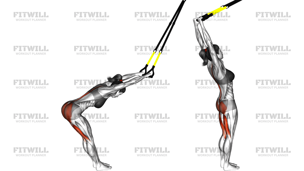 Suspension Hyperextension