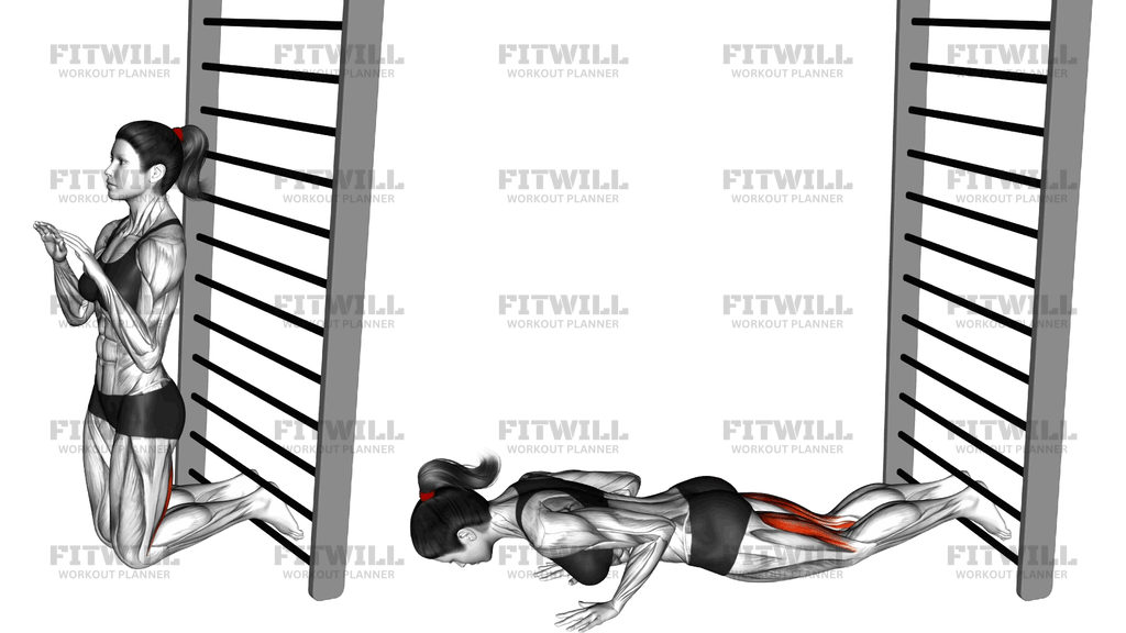 Nordic Hamstring Curl
