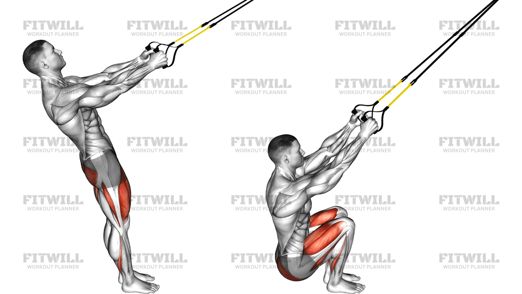 Suspender Squat