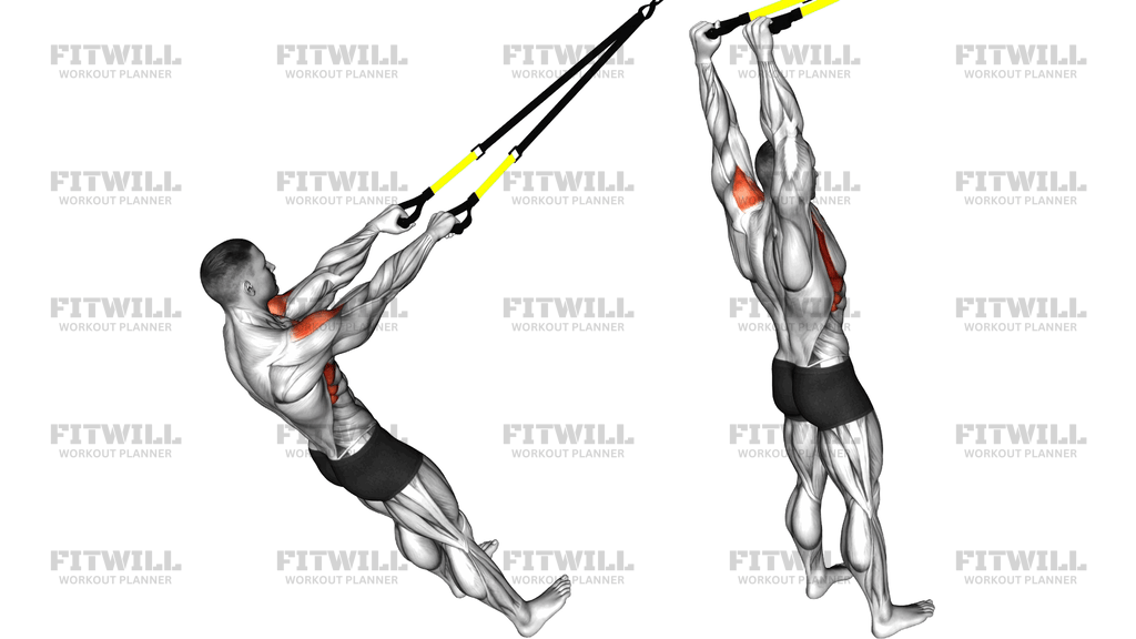 Suspender Front Raise