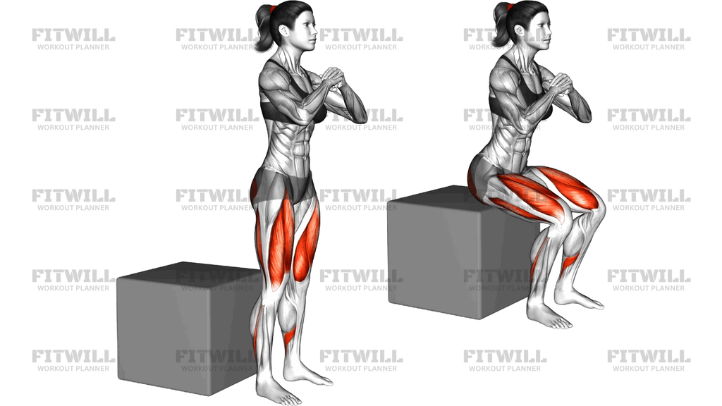 Bodyweight Box Squat